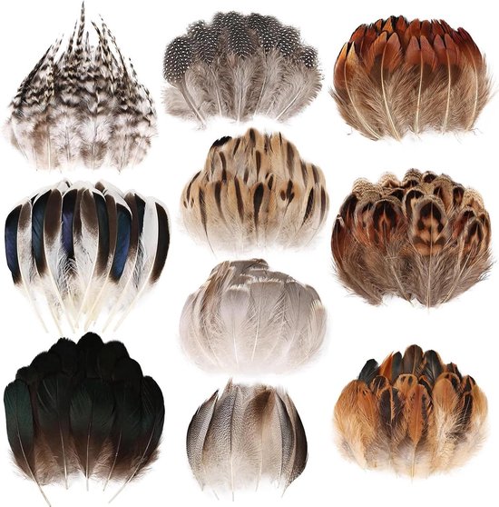 GoldRock Veren om te knutselen, 100 stuks kleurrijke veren, Indianen-hoofdtooi voor kinderen, accessoires voor doe-het-zelf oorbellen, bruiloft, droomvanger, hoofdtooi-veren, decoratie, schoolhandwerk