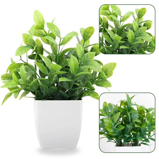 Een kunstplant met glanzende, ovale groene bladeren in een witte vierkante pot. Getoond met close-ups van de dichte bladstructuur.