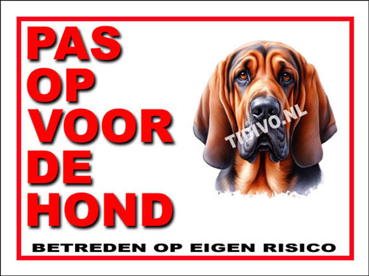 Bloedhond 13