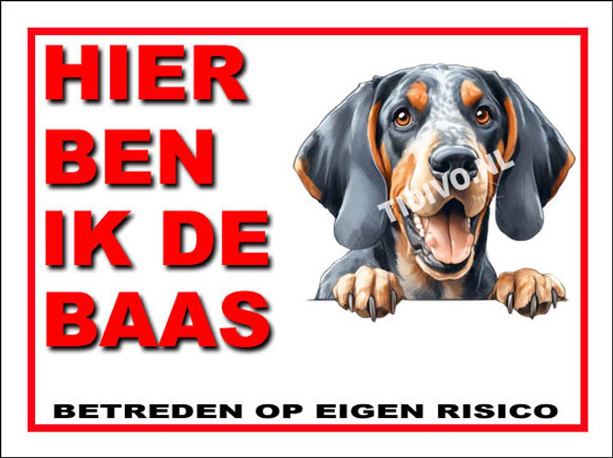 Bluetick Coonhound 2