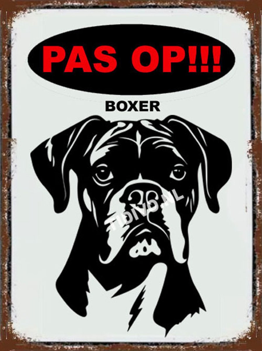 Boxer 17