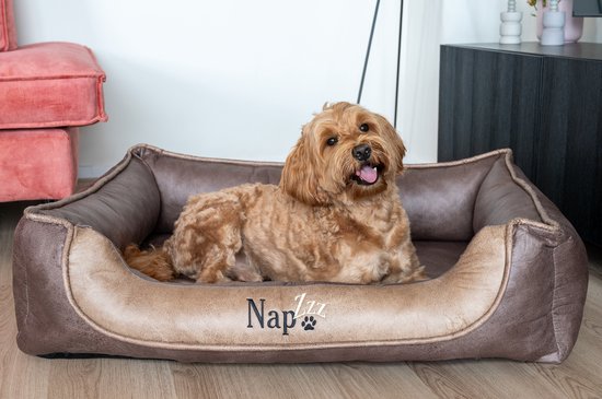 NapZZZ Lit/Divan pour chien L 100x80x25 cm Aspect cuir Marron Orthopédique