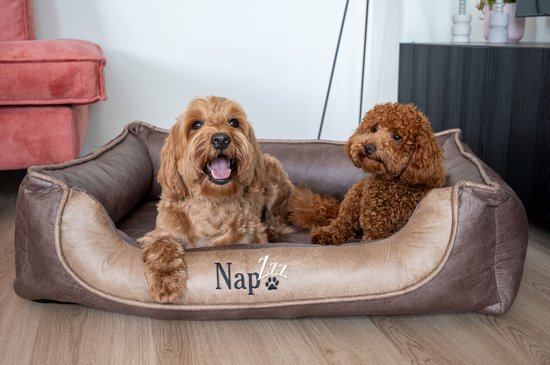 NapZZZ Lit/Divan pour chien L 100x80x25 cm Aspect cuir Marron Orthopédique