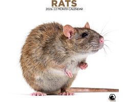 foto van Ratten Kalender 2026