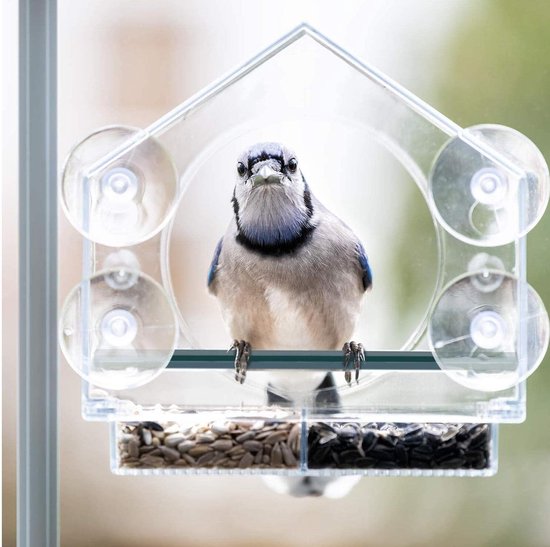 Raamvoederhuis voor vogels - vogelhuis - voederdispenser voor wilde vogels - acryl met zuignappen - vogelvoeding van Merkloos	 — afbeelding 2
