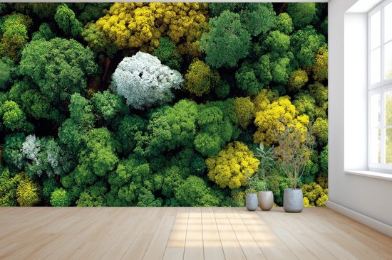 Naadloos behang Fotobehang - Forest Canopy Symphony Wallpaper - 250x200 centimeter
