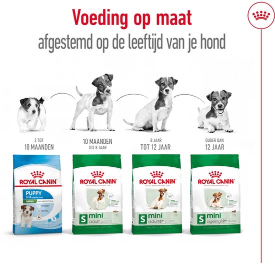Illustratie van honden van verschillende leeftijden, met bijpassende Royal Canin zakken voer.