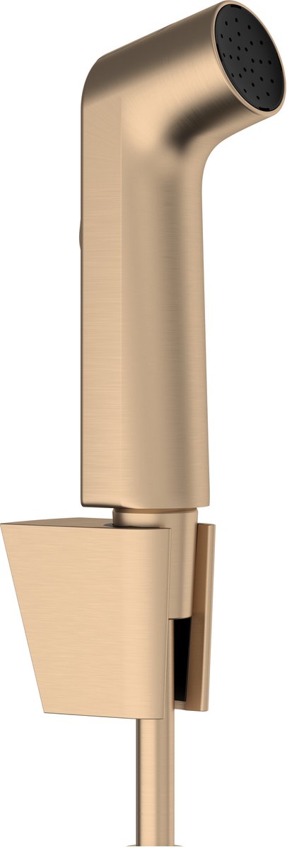Hansgrohe bidethanddouche 1jet EcoSmart met Porter S douchehouder en doucheslang 125 cm Br