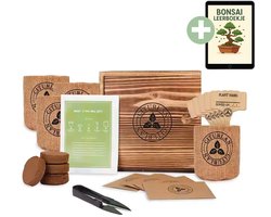 Soludo Bonsai Starters Kit – Bonsai Boompje – Kamerplanten - Bonsai Gereedschap – Kweekset - Bonsaibomen – Bonsai Zaden – Inclusief Bonsai Boek