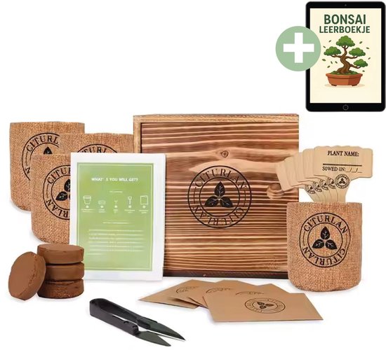 Soludo Bonsai Starters Kit – Bonsai Boompje – Kamerplanten - Bonsai Gereedschap – Kweekset - Bonsaibomen – Bonsai Zaden – Inclusief Bonsai Boek