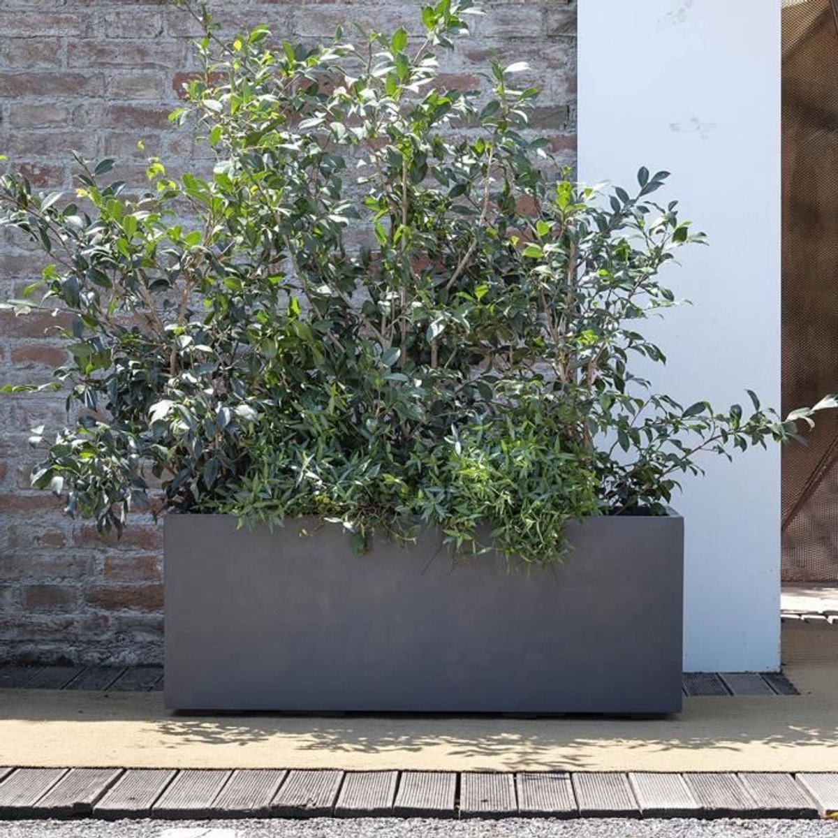DEROMA – Millennium – Jardinière – Anthraciet – Waterreserve