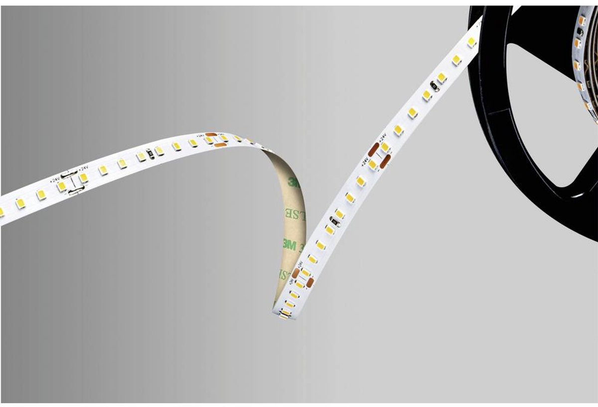 Barthelme 51542234 LED-strip 24 V 5000 mm Koudwit 5 m Kleurloos