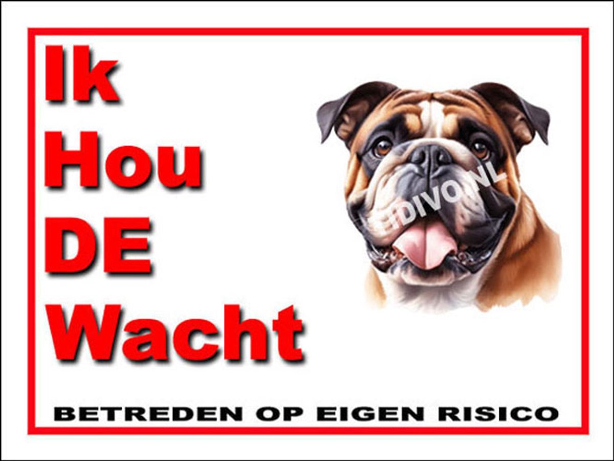 Engelse Bulldog 7