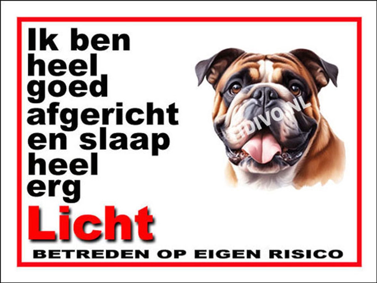 Engelse Bulldog 4
