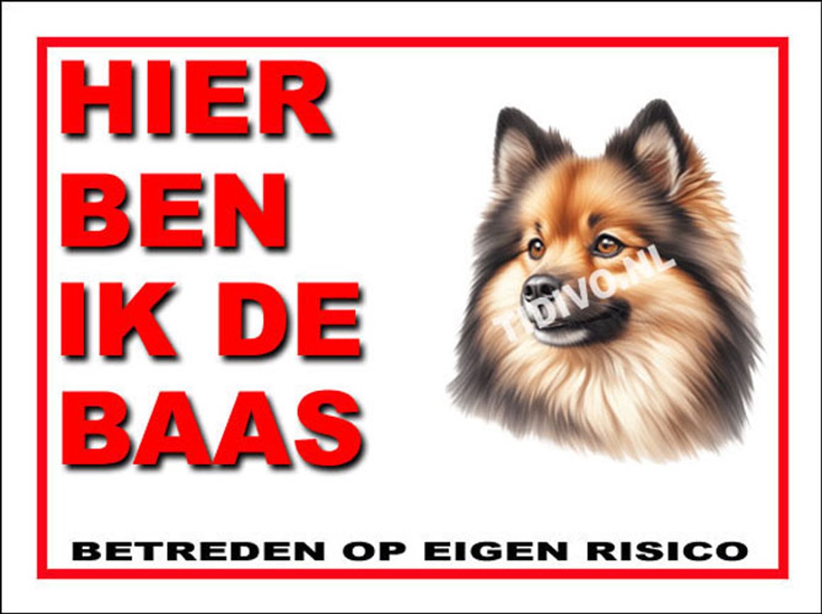 Finse Spits 2