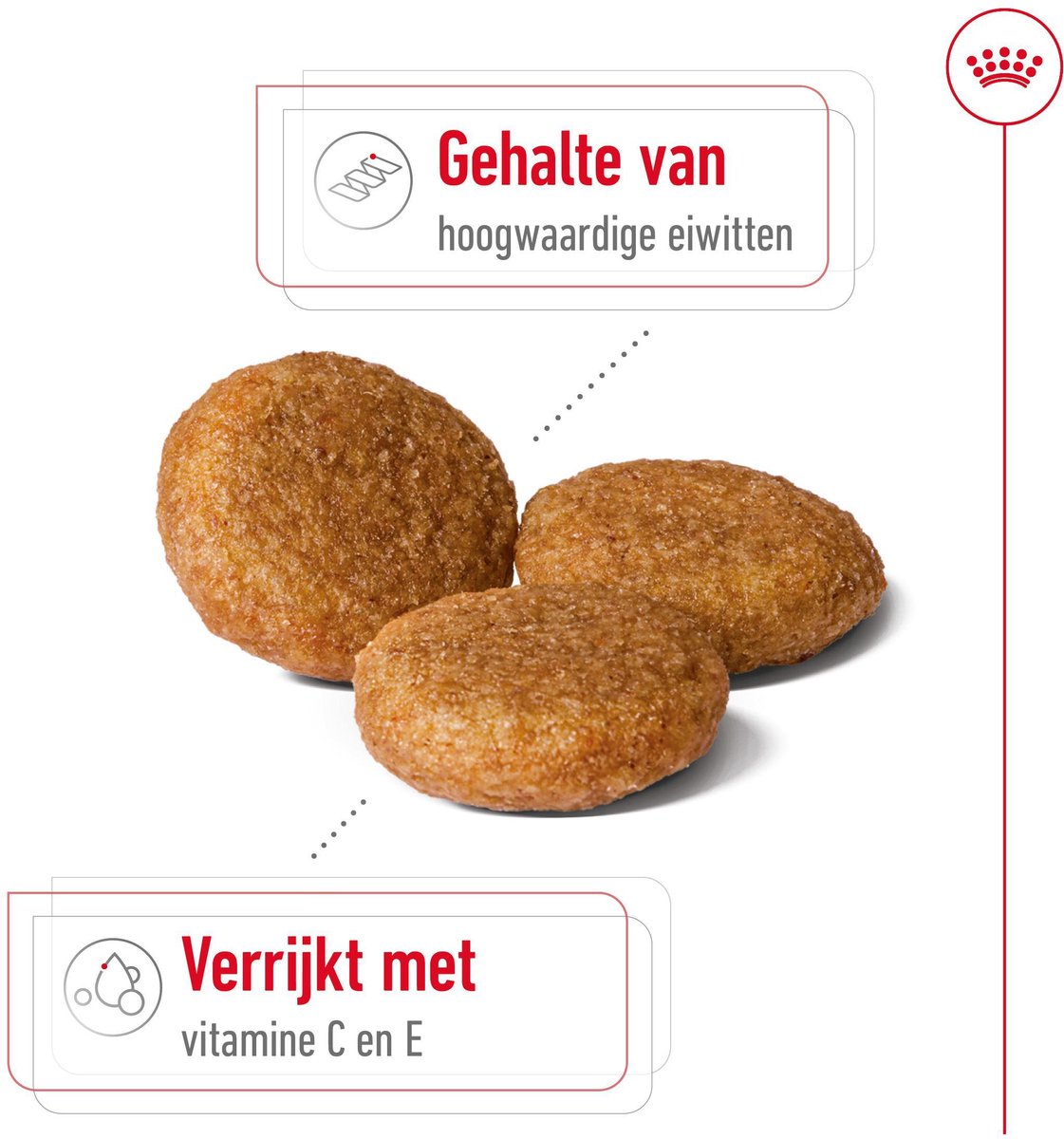 Royal Canin - Voeding Middelgrote Honden thumbnail 5