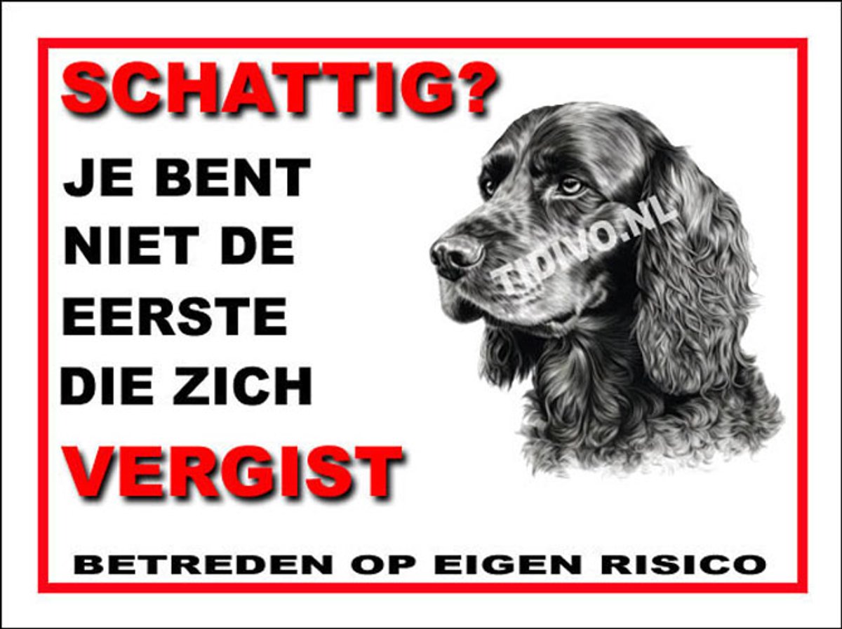 Engelse Cocker Spaniel 14