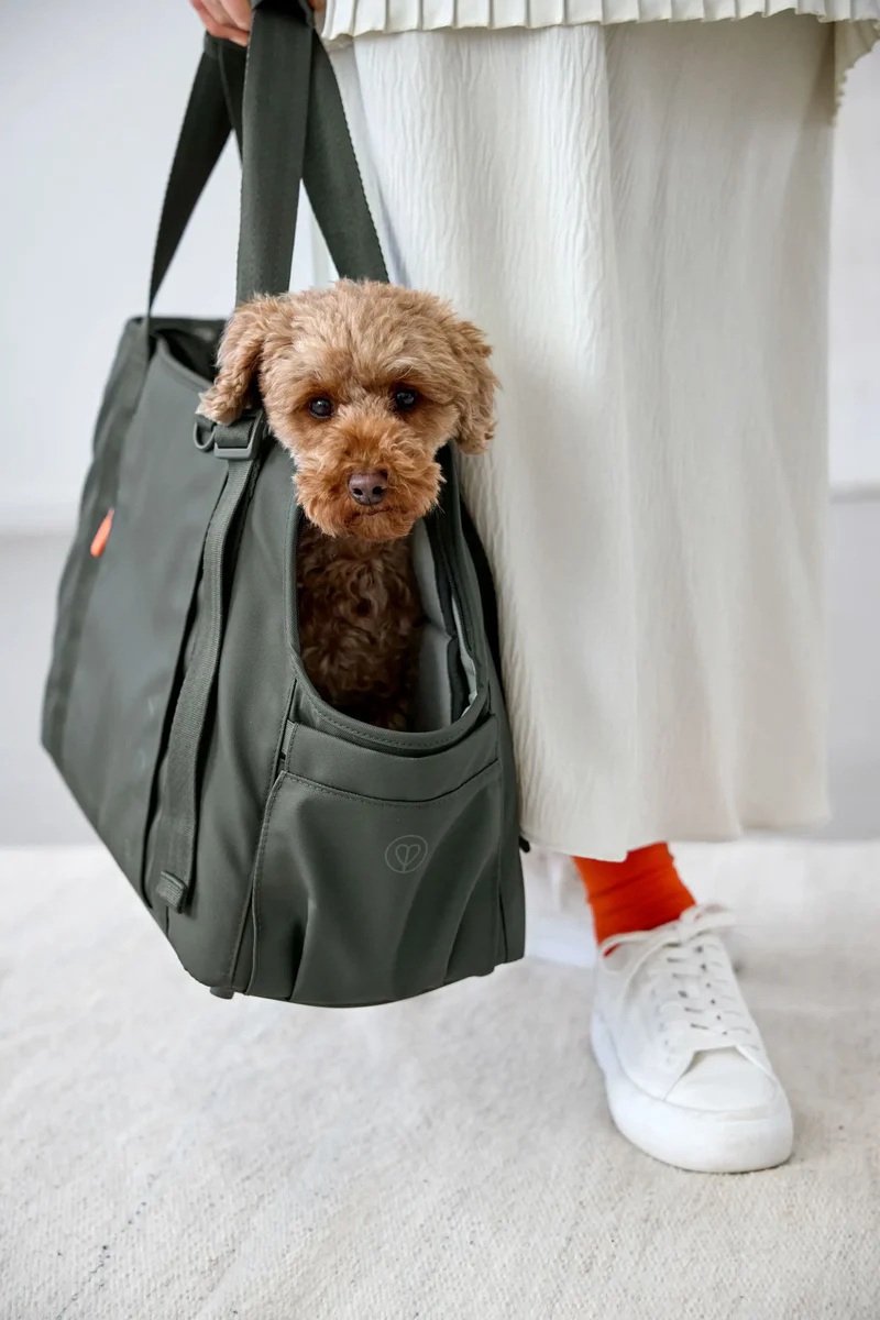 Palopa Draagtas voor de hond Weda - Dark olive