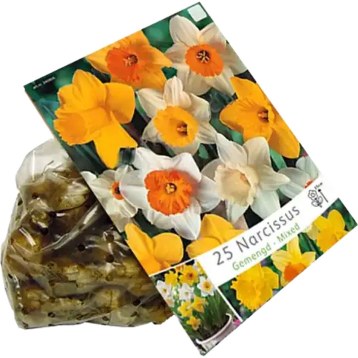 Narcis (Narcissus) - sen Grootbloemig Mix - sus - Snijbloemen - Voorjaarsbollen - bloeit in Maart / April / Mei