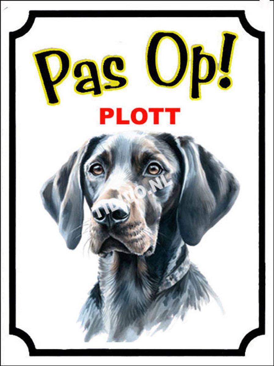 Plott 16