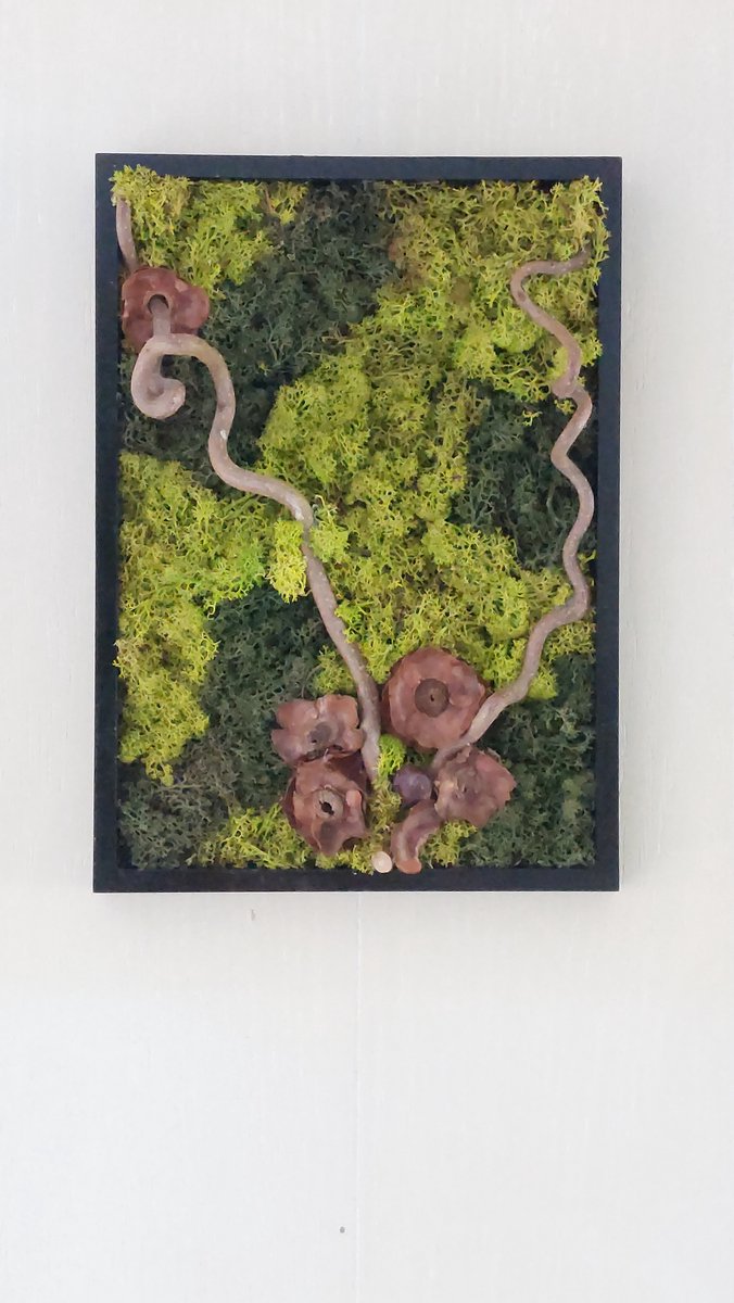 Stijlvolle Mosschilderij- Moswand van Rendiermos en droogbloemen/natuurlijke materialen- woondecoratie- huwelijks cadeau- geschenk- rechthoek 38 x 27 cm