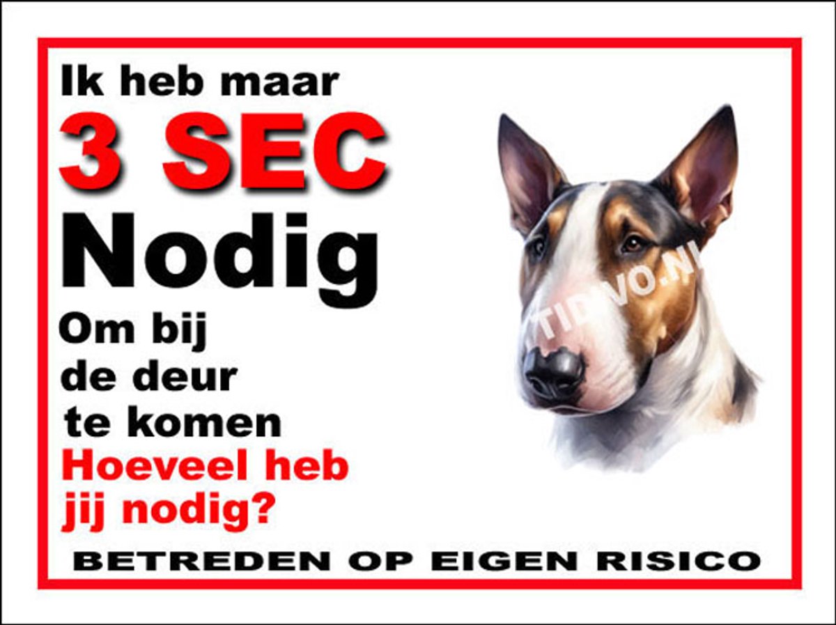Bull Terrier 6