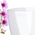 Close-up van de rand van een transparante vierkante bloempot met een tak van paarse orchideeën ernaast.