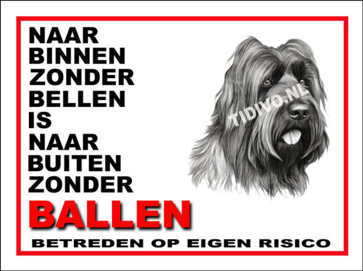 Briard 11