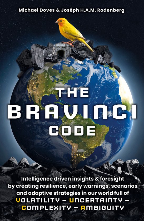 The Bravinci code - cover