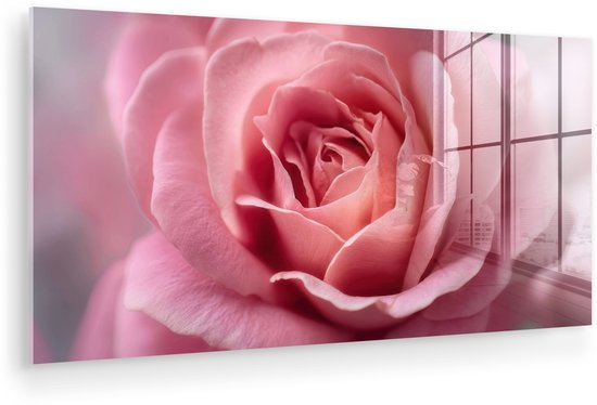 MuchoWow® Glasschilderij 80x40 cm - Schilderij acrylglas - Roze - Roos - Romantisch - Foto op glas - Muurdecoratie woonkamer - Wanddecoratie slaapkamer - Schilderijen