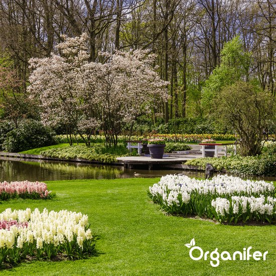 Stream PVC Trap De Moderne Oplossing Voor Effectieve Drainage by Branco Vloeren | Listen online