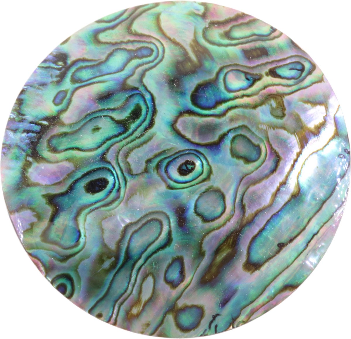 Behave – broche – blauwgroen – zilverkleurig – abelone – rond – 5 cm