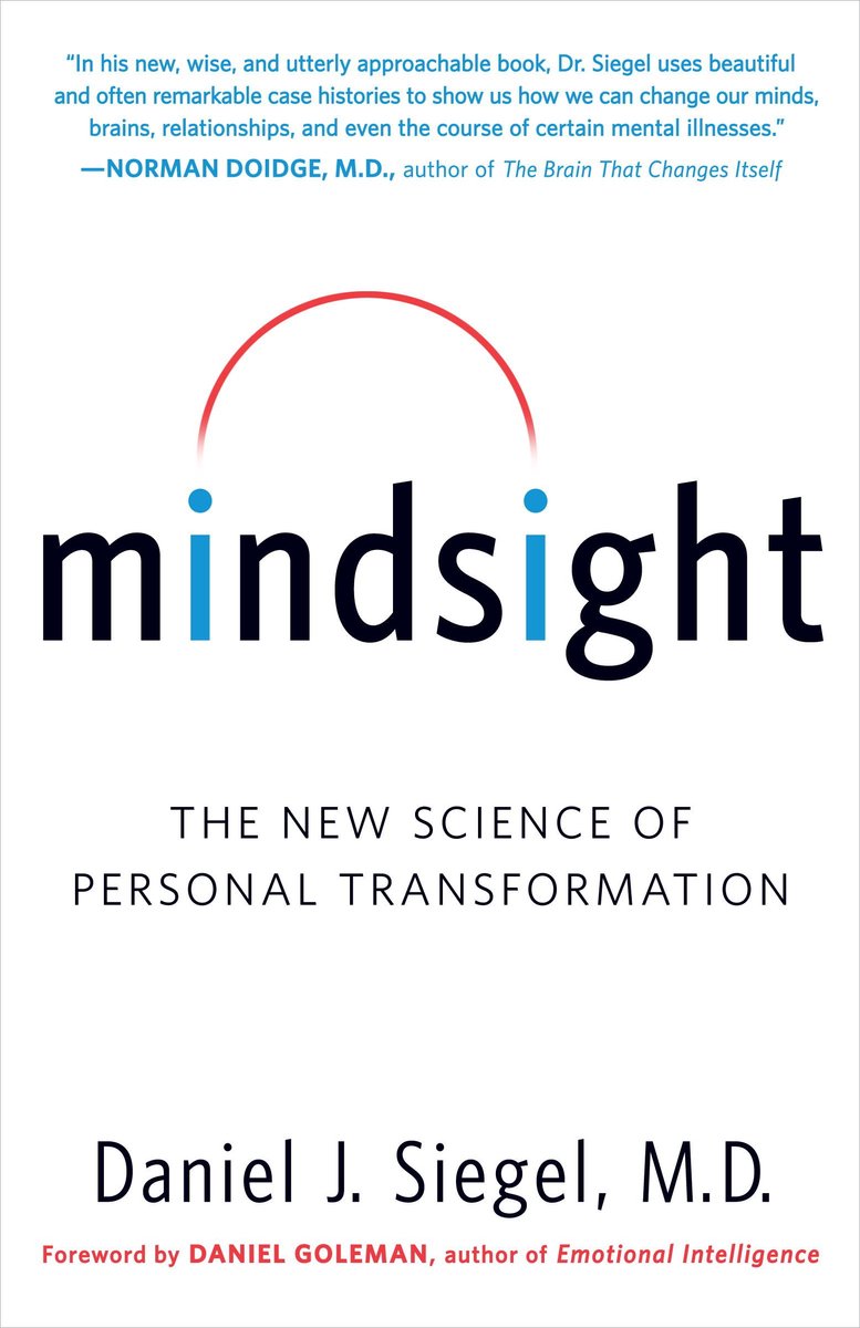 Omslag van Mindsight