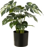 J-Line Monstera in pot - kunststof - groen