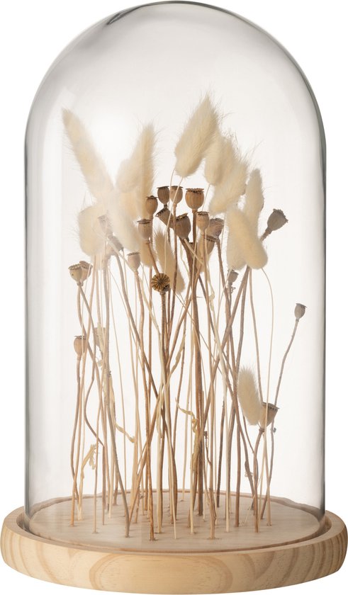 J-Line décoration Cloche Fleurs Sechées - verre/bois - ecru/brun - large