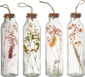 J-Line Hangende flessen gedroogde bloemen - glas - mix - medium - 4 stuks