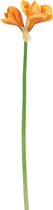 J-Line bloem Amaryllis 3 Bloem - kunststof - lichtoranje - 12 stuks