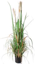 Struisriet - Pampasgras - Grasplant - Kunstplant - 120 cm