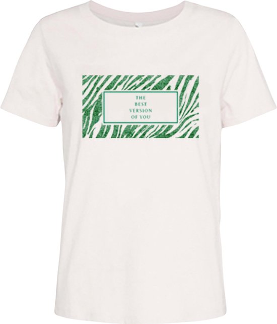 JDY Michigan T-shirt Vrouwen - Maat S