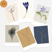 Ansichtkaart set - bloemen - blanco - kaarten - botanisch - voorjaar - lente - zonder tekst - krokus - clematis - pauwenveer