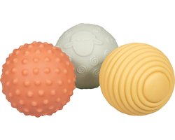 foto van Little Dutch Farm Zintuig Ballen set/3