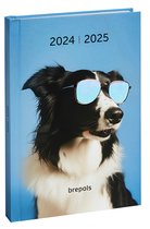 Brepols agenda 2024-2025 - AMICI - Dagoverzicht - Blauw - Hond - 11.5 x 16.9 cm
