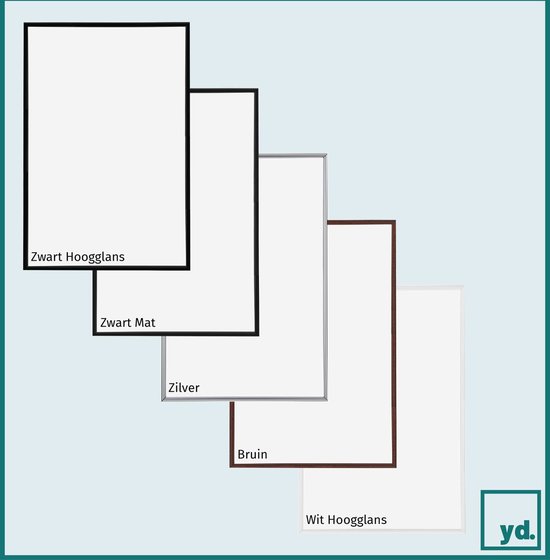 Vijf fotolijsten naast elkaar: zwart hoogglans, zwart mat, zilver, bruin, wit hoogglans.