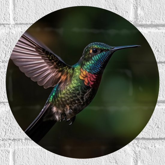 Muursticker Cirkel - Vogel - Kleuren - Dier - Vliegen - Natuur - 30x30 cm Foto op Muursticker