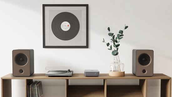 WiiM Amp - krachtige Stereo versterker- Space Grey van WiiM. — afbeelding 3