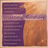 Peace & Tranquility - Praise Worship - Cd Album