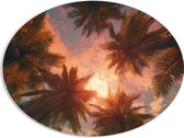 PVC Schuimplaat Ovaal - Palmbomen - Kleuren - Onderaanzicht - Zon - 68x51 cm Foto op Ovaal (Met Ophangsysteem)