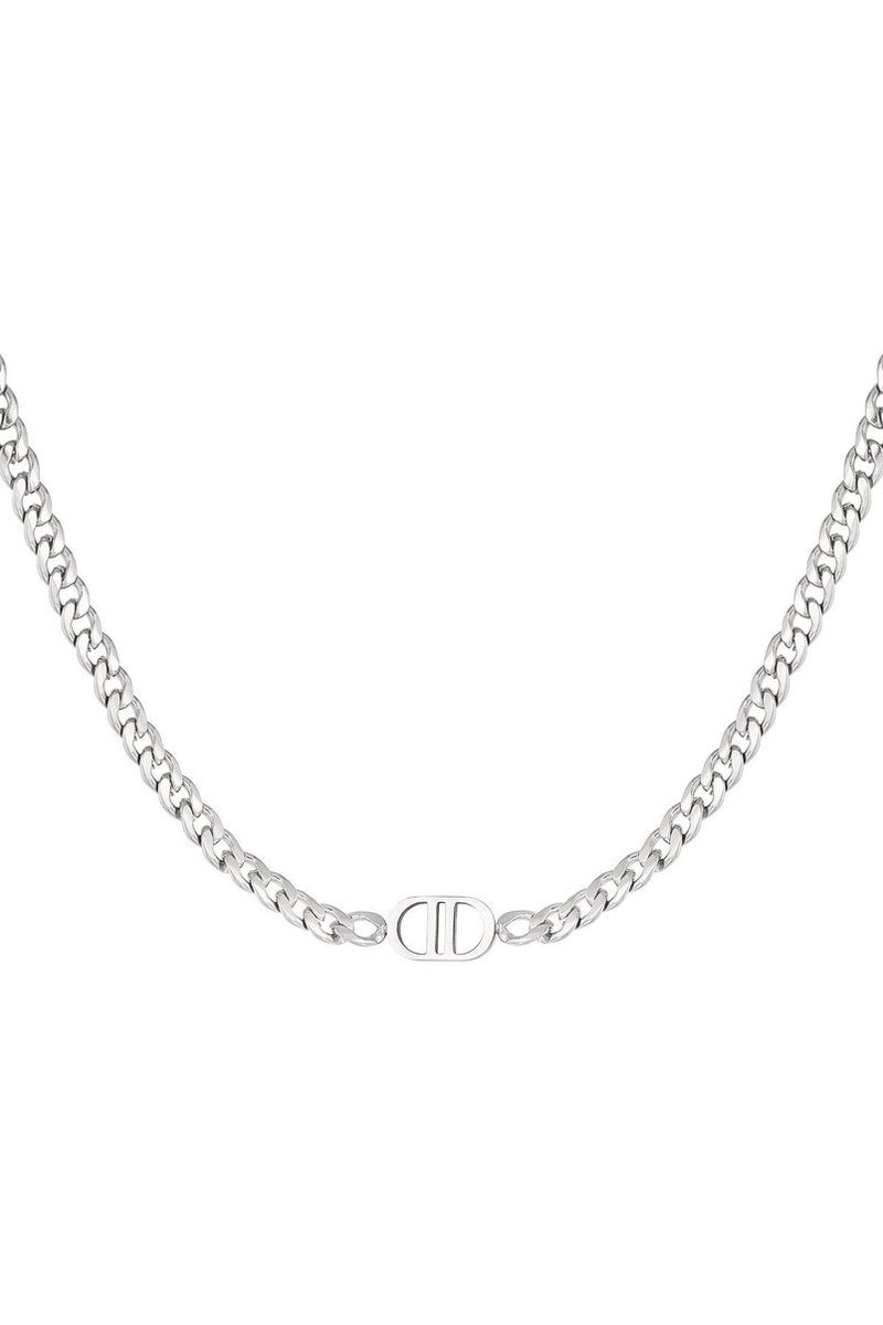 Luxe inspired schakel ketting the good life dubbel D kleur zilver - necklace silver - stainless steel - moeder cadeau - kado tip kerst - gift present