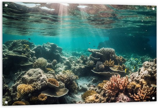 Tuinposter – Onderwater - Zee - Water - Koraal - Dieren - Kleuren - Zand - 120x80 cm Foto op Tuinposter (wanddecoratie voor buiten en binnen)