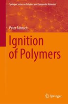 Springer Series on Polymer and Composite Materials - Ignition of Polymers